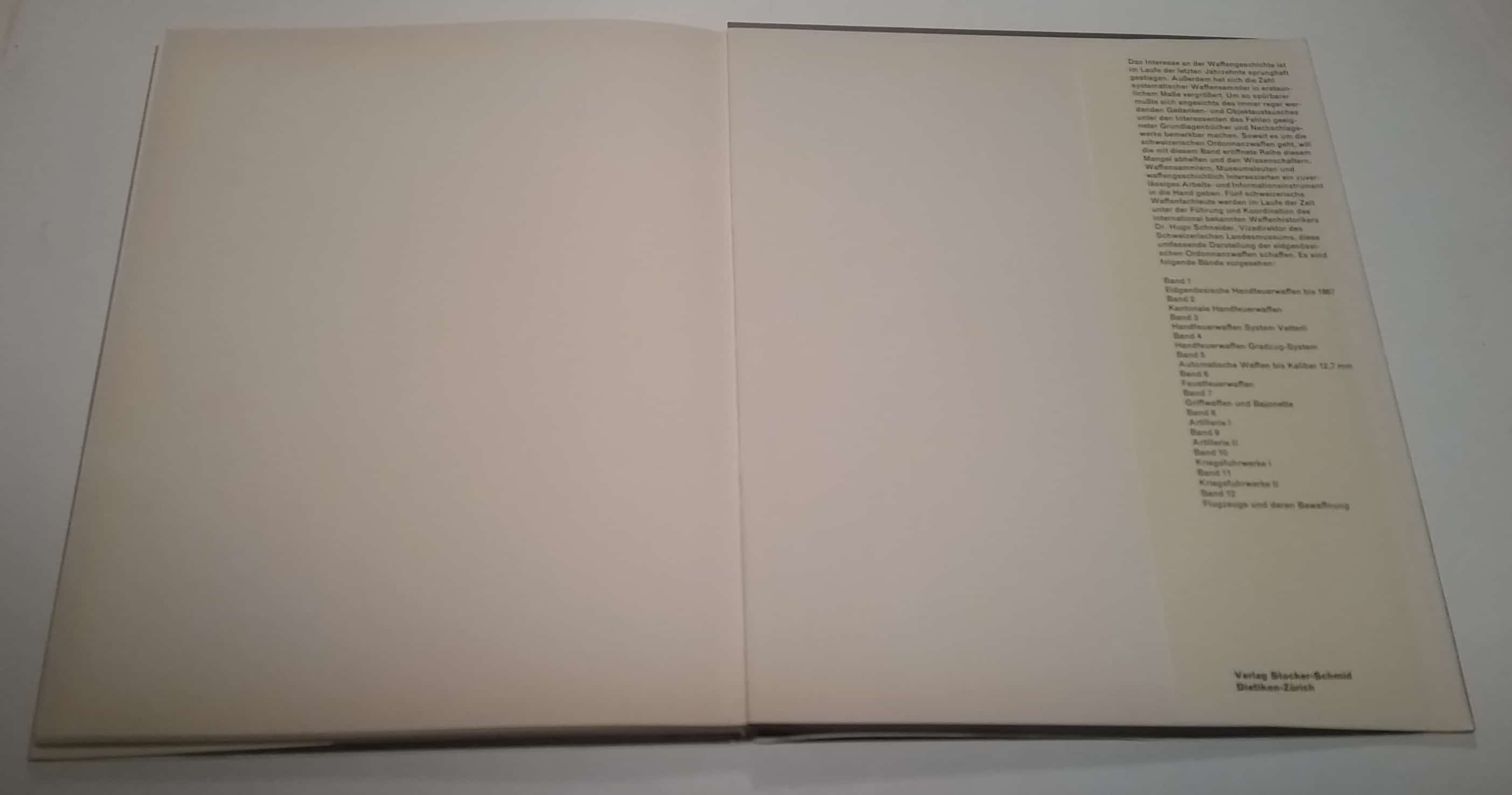 Der Einbandtext geht auf die Buchreihe ein.